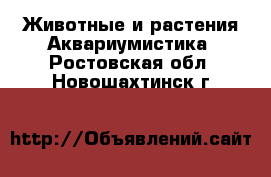 Животные и растения Аквариумистика. Ростовская обл.,Новошахтинск г.